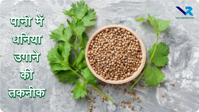 Grow Coriander In Water