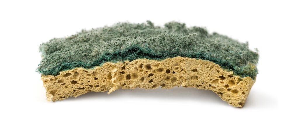 Kitchen Sponge Side Effects