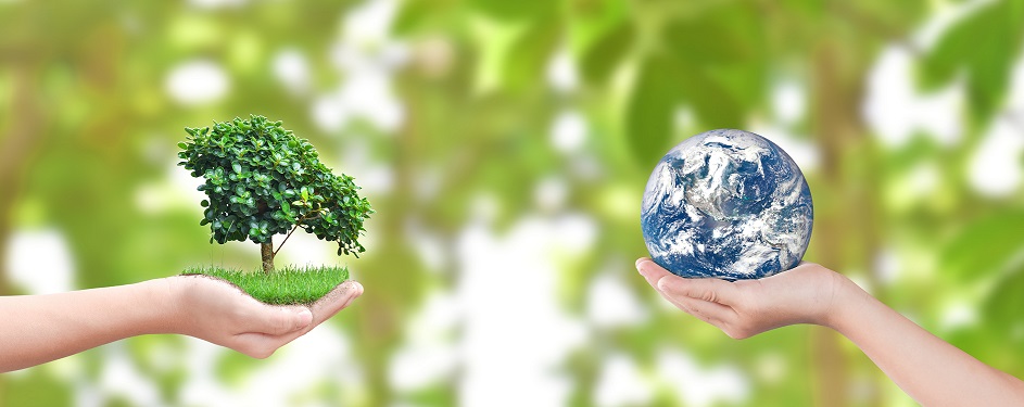World Environment Day & World Ocean Day