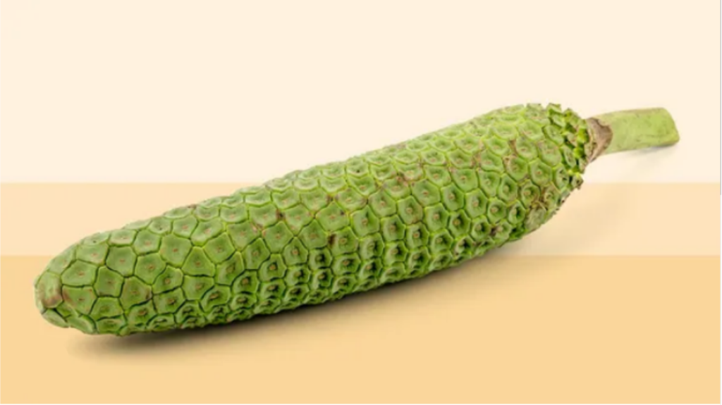 Monstera Deliciosa Fruit