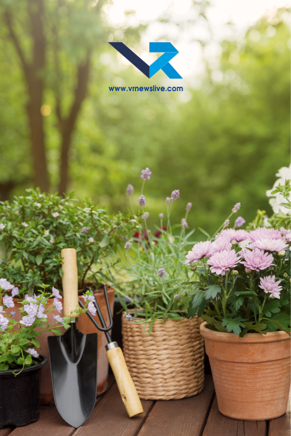 Best Summer Plants