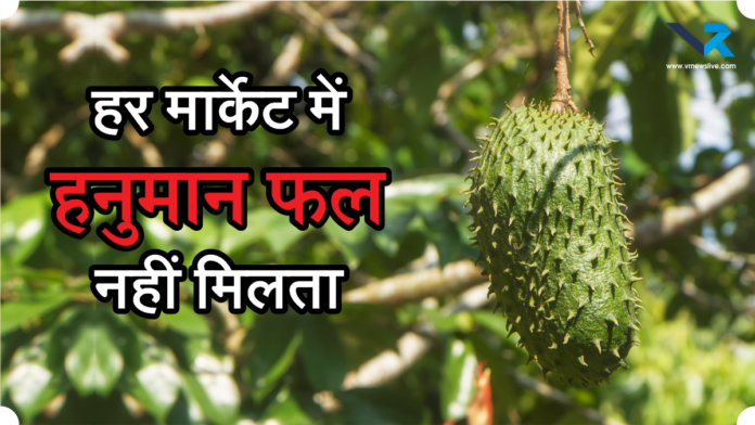 Soursop