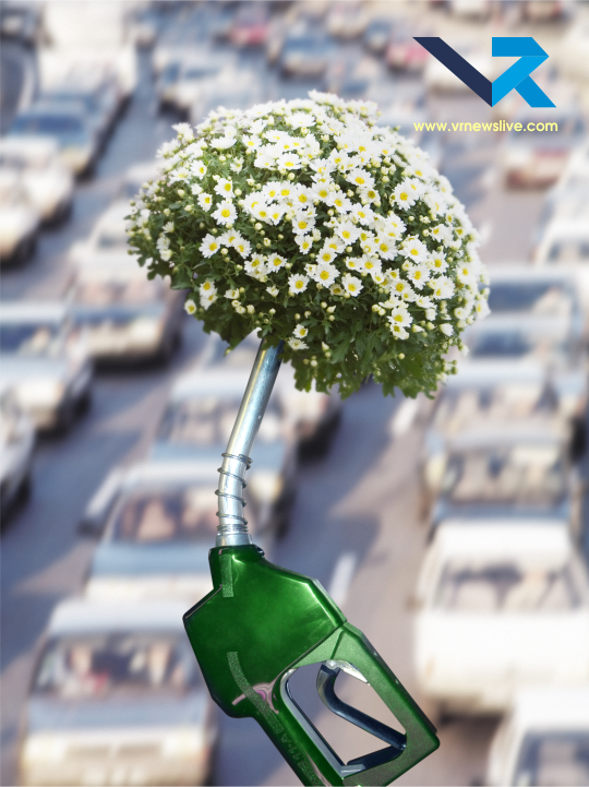 Ethanol vs EV
