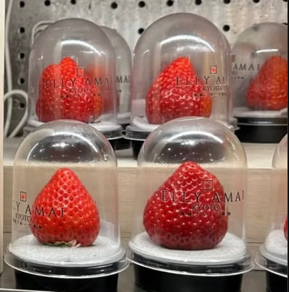 Erewhon Strawberry Expensive